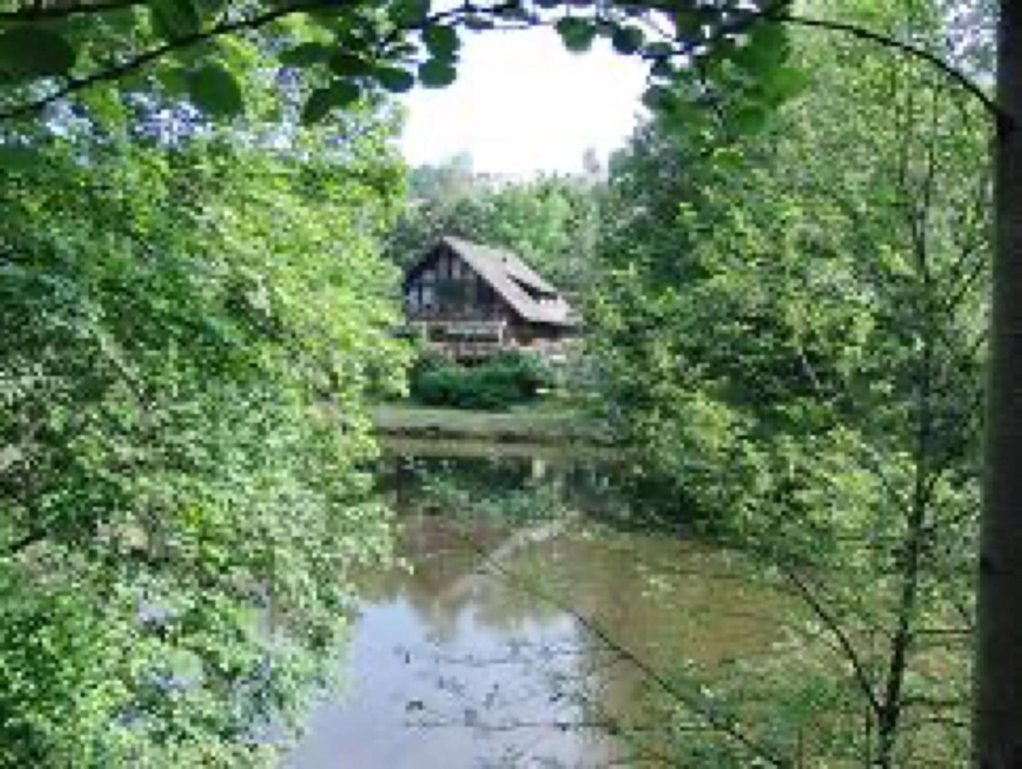 Ferienwohnung Seeblick Unterkirnach Exterior foto